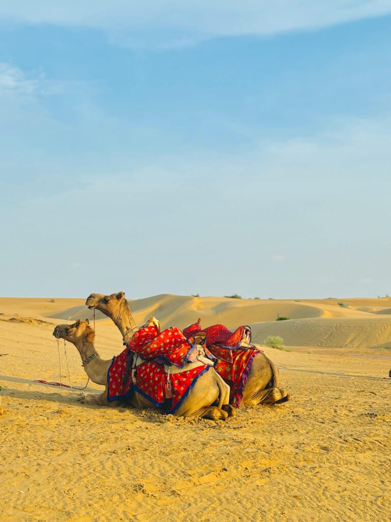 CAMELS ARE ON DESERTS